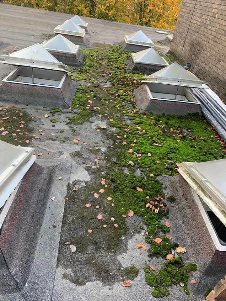 Commercial property cleaning services