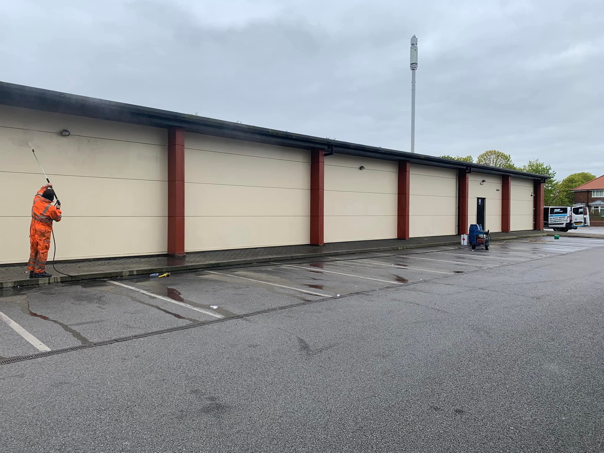 Professional carpet steam cleaning